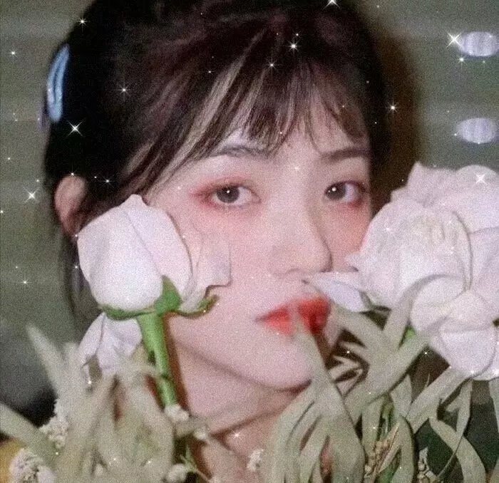 车队